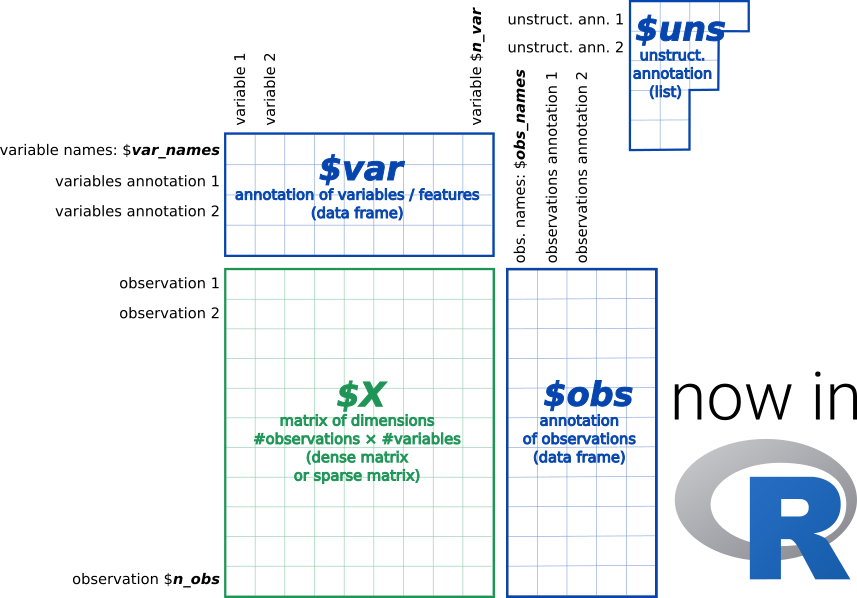 anndata for R | Robrecht Cannoodt